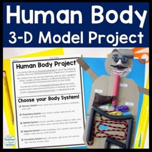Human Body Project 3-D Model of a Human Body System| Human Body Systems Project