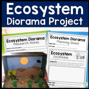 Ecosystem Project: Decorate a Shoebox Diorama: Perfect for ANY Ecosystems Unit